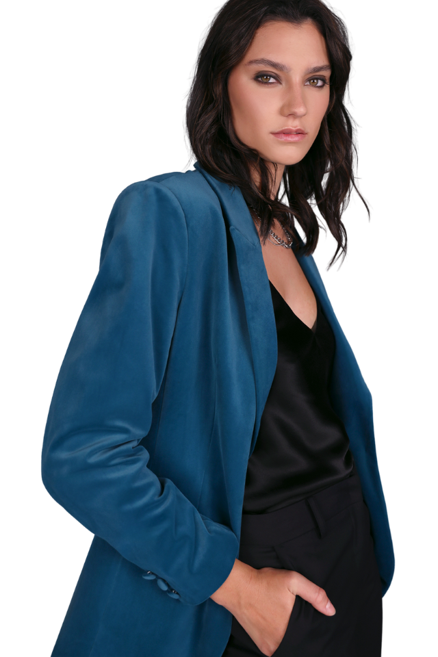 Stand Out Velvet Blazer
