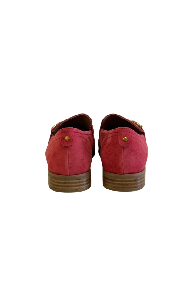 Belle Scarpe - Ravenous