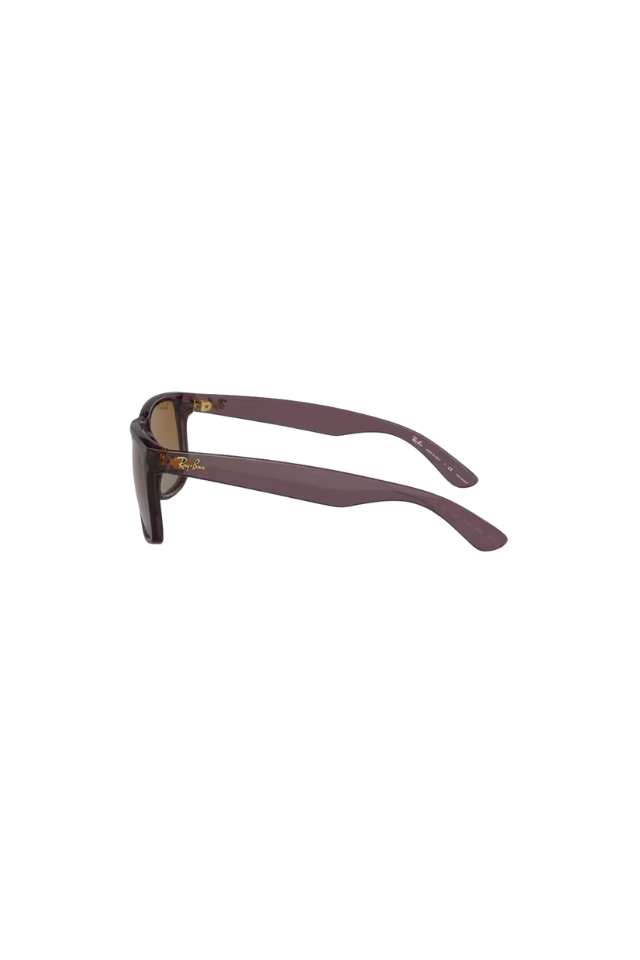 Justin Transparent Sunglasses - Brown