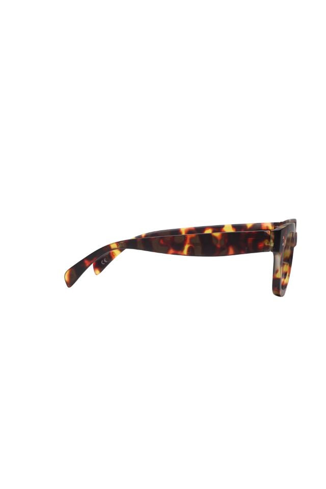 2pm Readers - Brown Tort