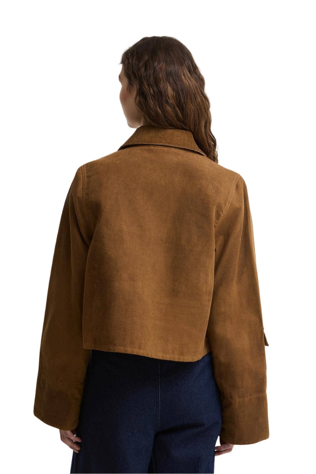 Dalbury Casual Jacket - Tan/Beige Tattersall