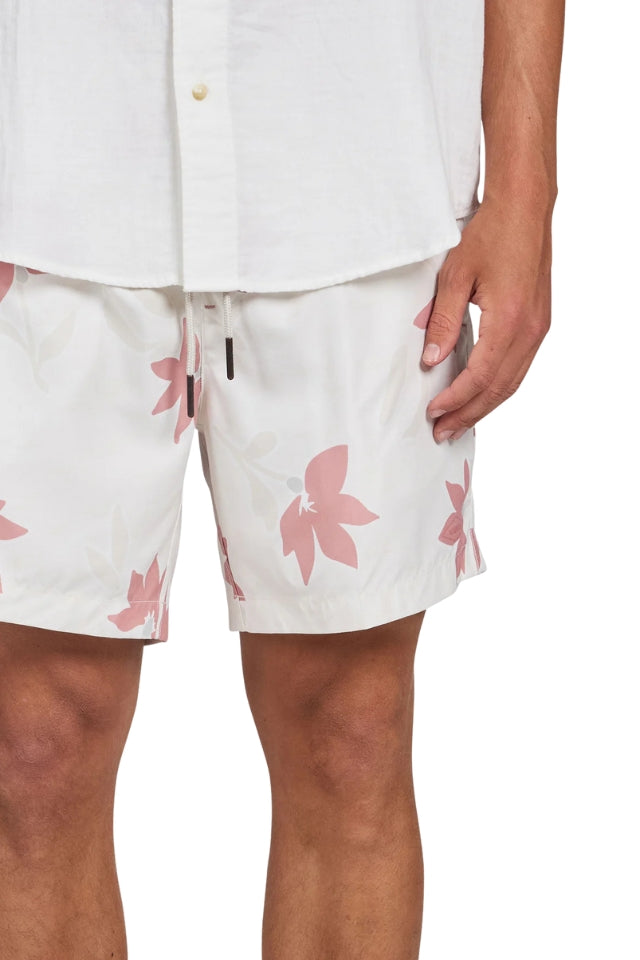 Marty Boardy - Dusty Cedar