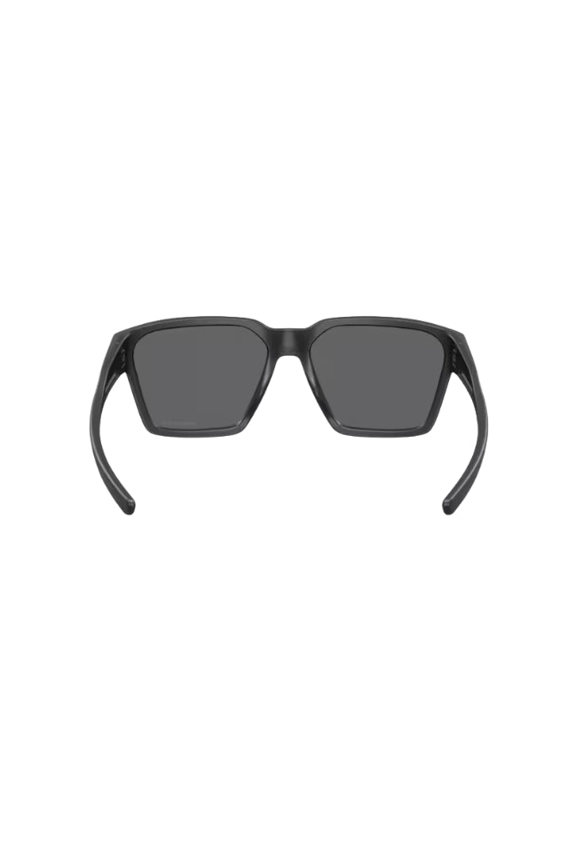 Briza - Steel W/ Prizim Black
