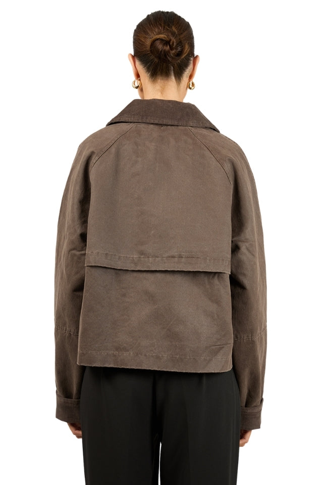 Chicago Jacket - Coffee