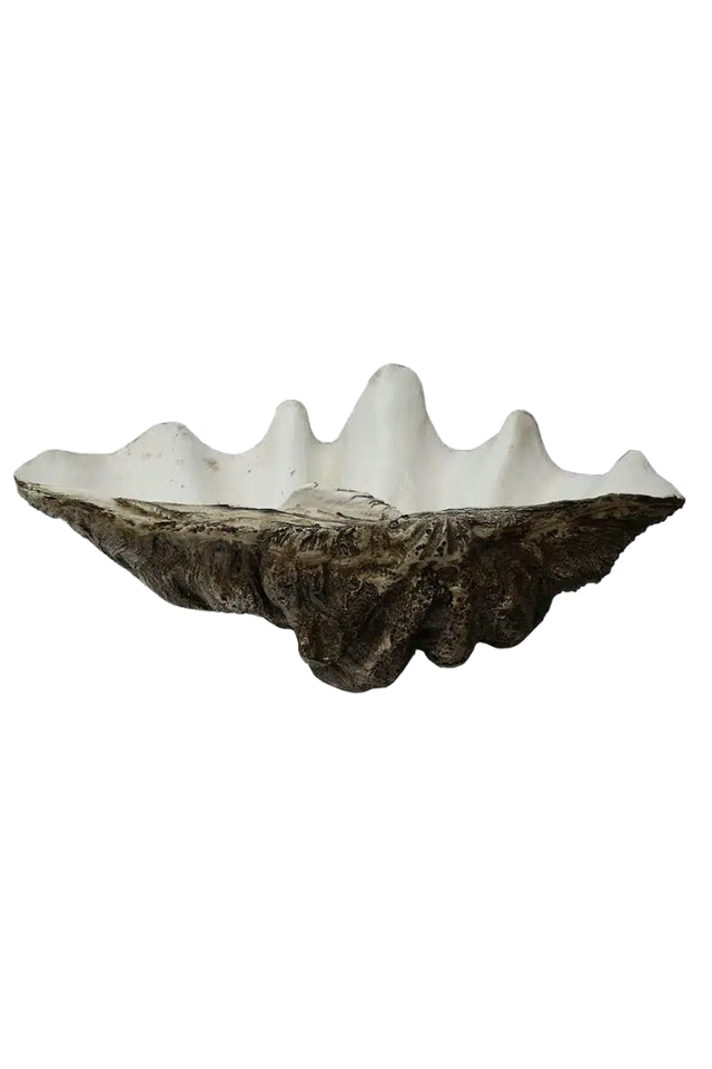 Resin Clam Shell