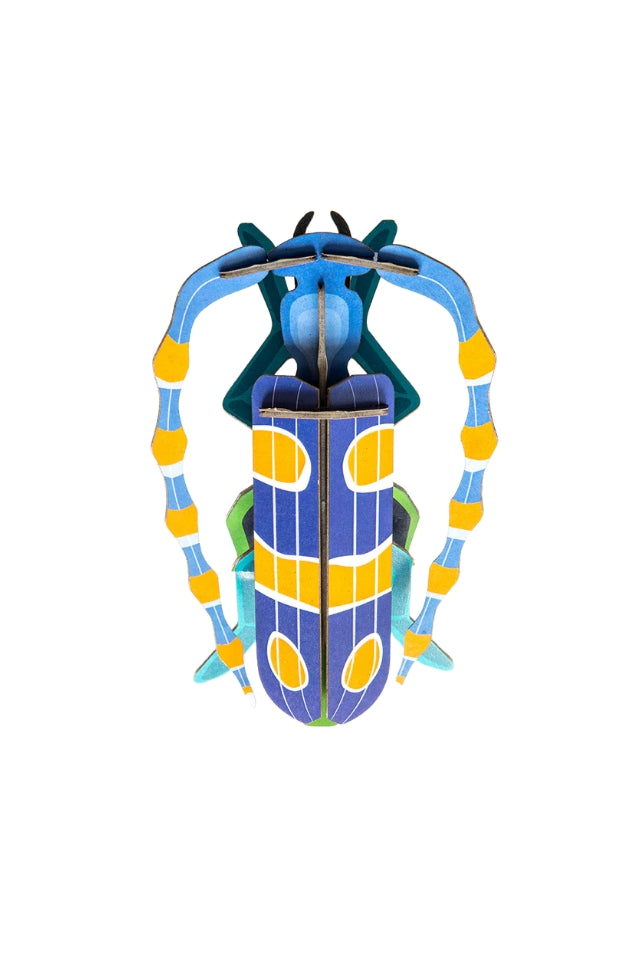 Wall Art Beetles - Rosalia Beetle