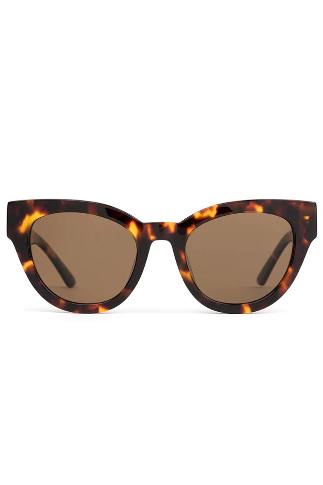 Soul Fusion: Maple Tort/Brown Polarised