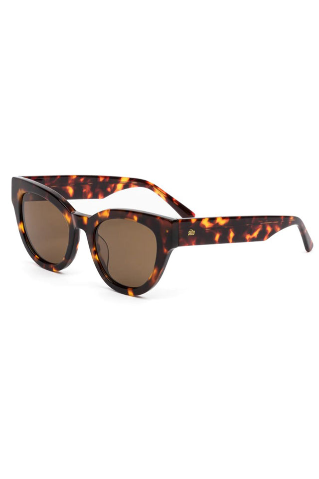 Soul Fusion: Maple Tort/Brown Polarised