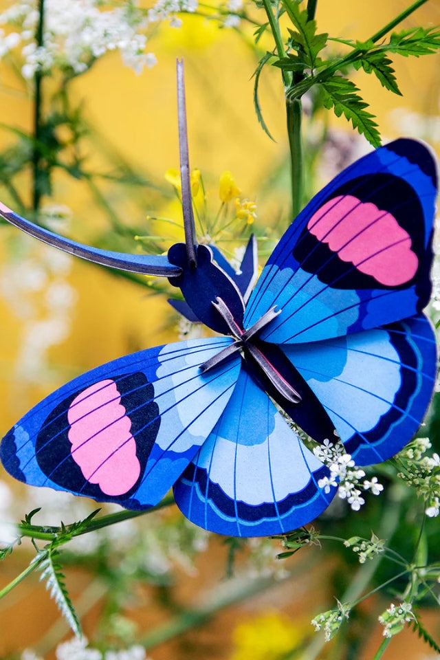 Wall Art Butterflies - Peacock Butterfly