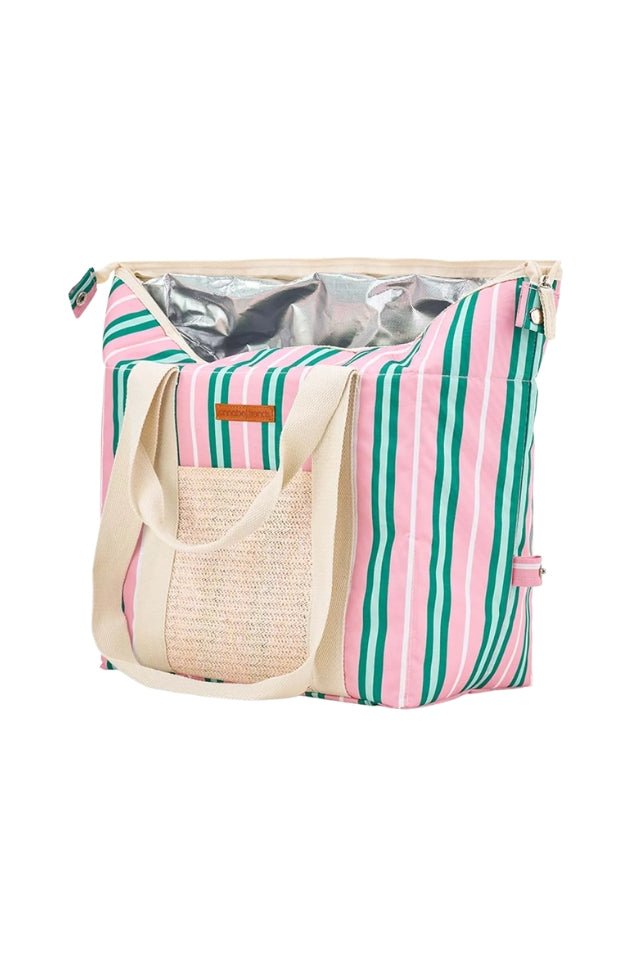 Picnic Cooler Box Bag - Pink & Green Stripe