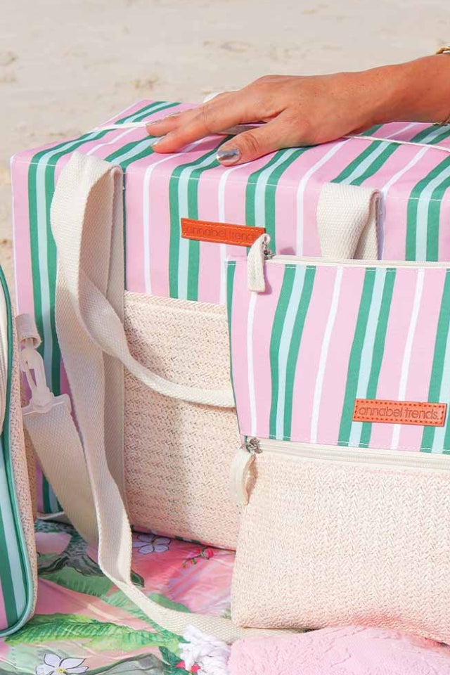 Picnic Cooler Box Bag - Pink & Green Stripe