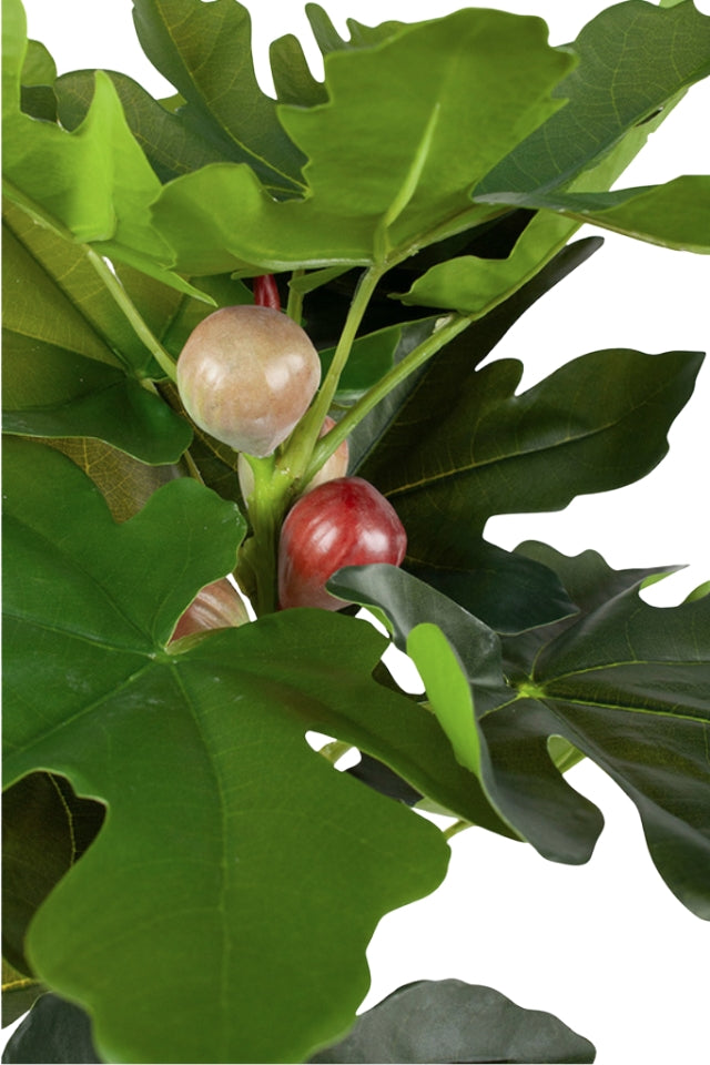 Fig Spray 90cm