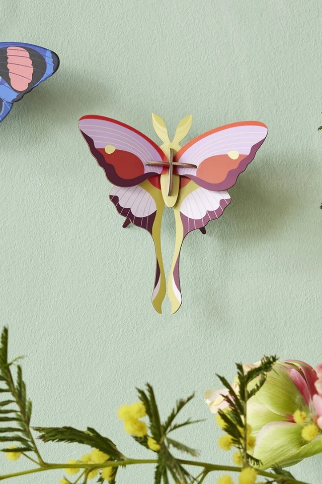 Wall Art Butterflies - Lilac Comet Butterfly