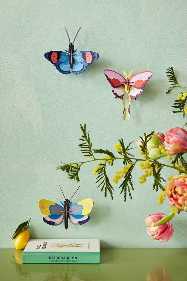Wall Art Butterflies - Lilac Comet Butterfly