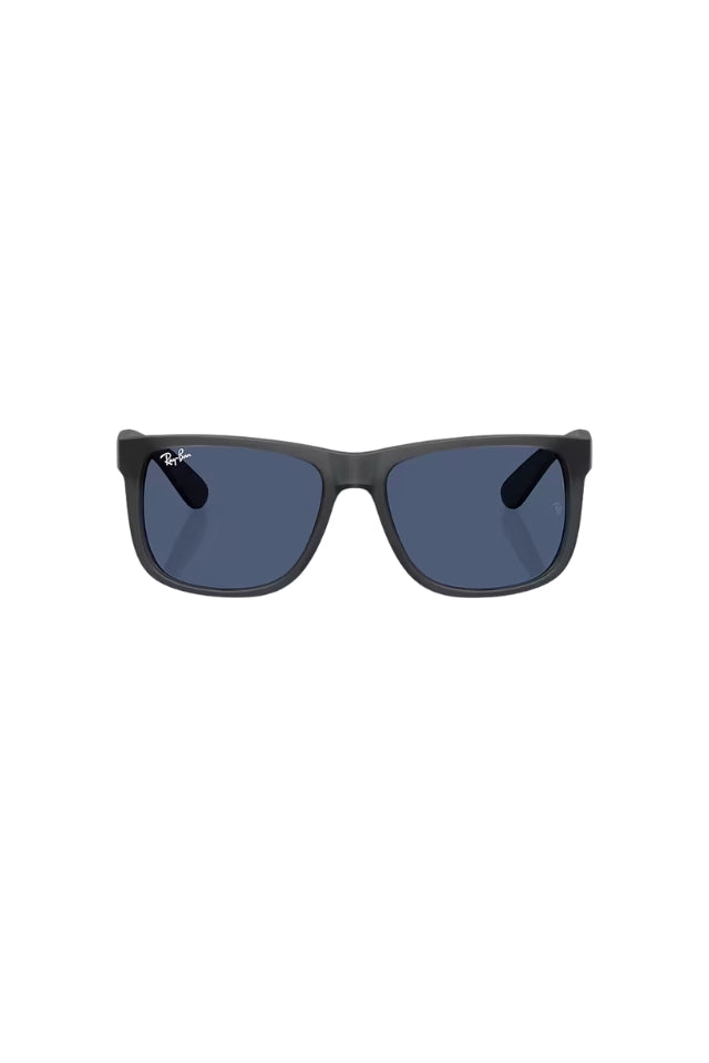 Justin Sunglasses - Opal Grey with Dark Blue