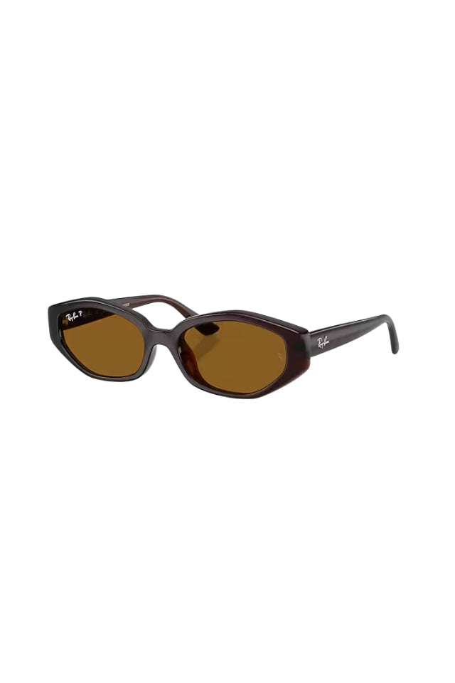 Ray-Ban Sunglasses 0RB4473D - Dark Brown