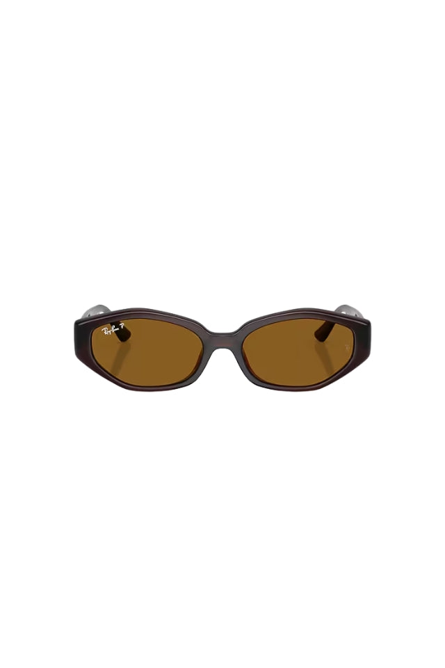 Ray-Ban Sunglasses 0RB4473D - Dark Brown