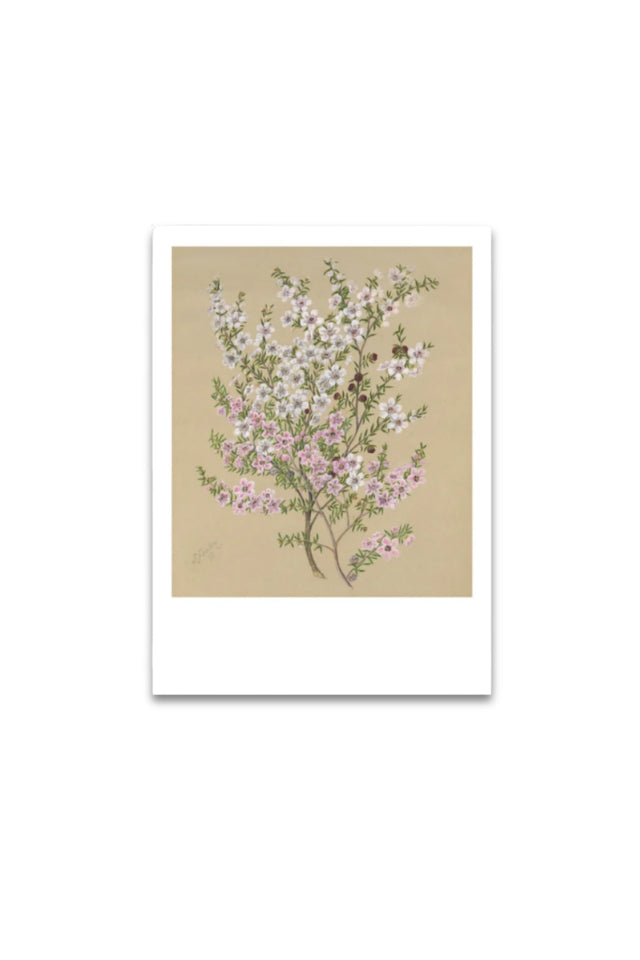 Sarah Featon - Print - Manuka