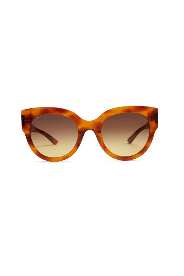 Sito Shades Good Life Sunglasses Amber Tort With Amber Gradient