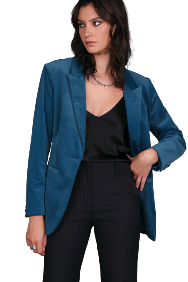 Stand Out Velvet Blazer