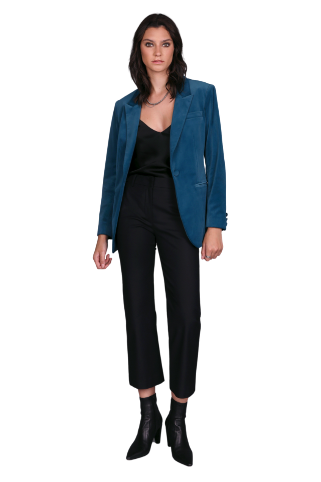 Stand Out Velvet Blazer