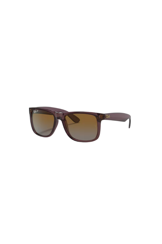 Justin Transparent Sunglasses - Brown