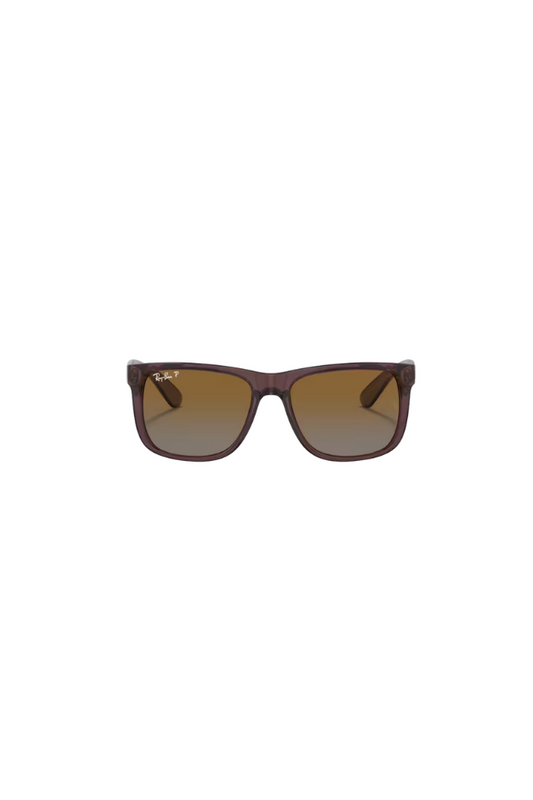 Justin Transparent Sunglasses - Brown