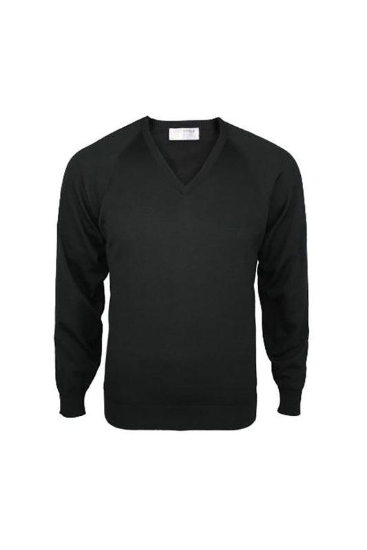 Fine Merino V-neck Jersey