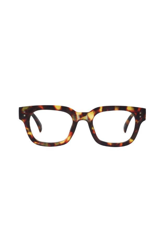 2pm Readers - Brown Tort