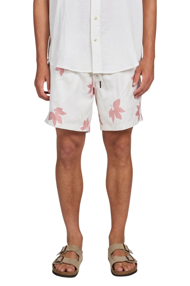 Marty Boardy - Dusty Cedar