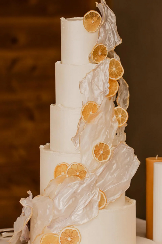 Dried Lemons - 10 Slice Pouch