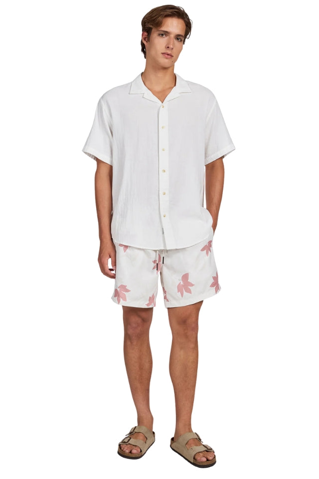 Marty Boardy - Dusty Cedar