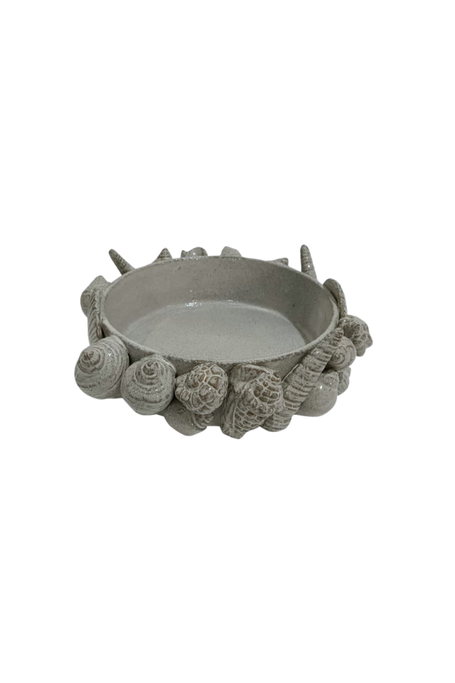 Ceramic Shell Bowl