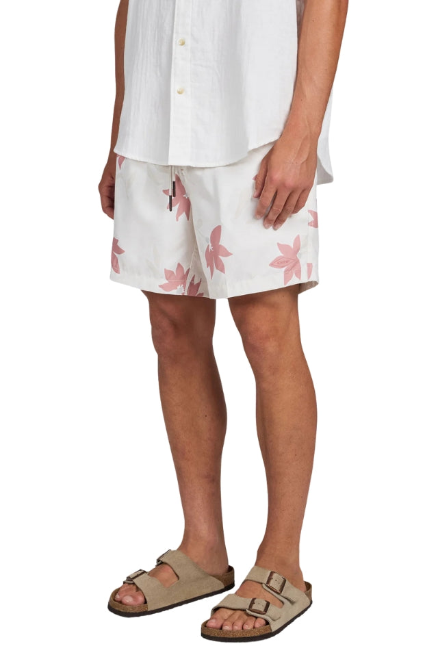 Marty Boardy - Dusty Cedar