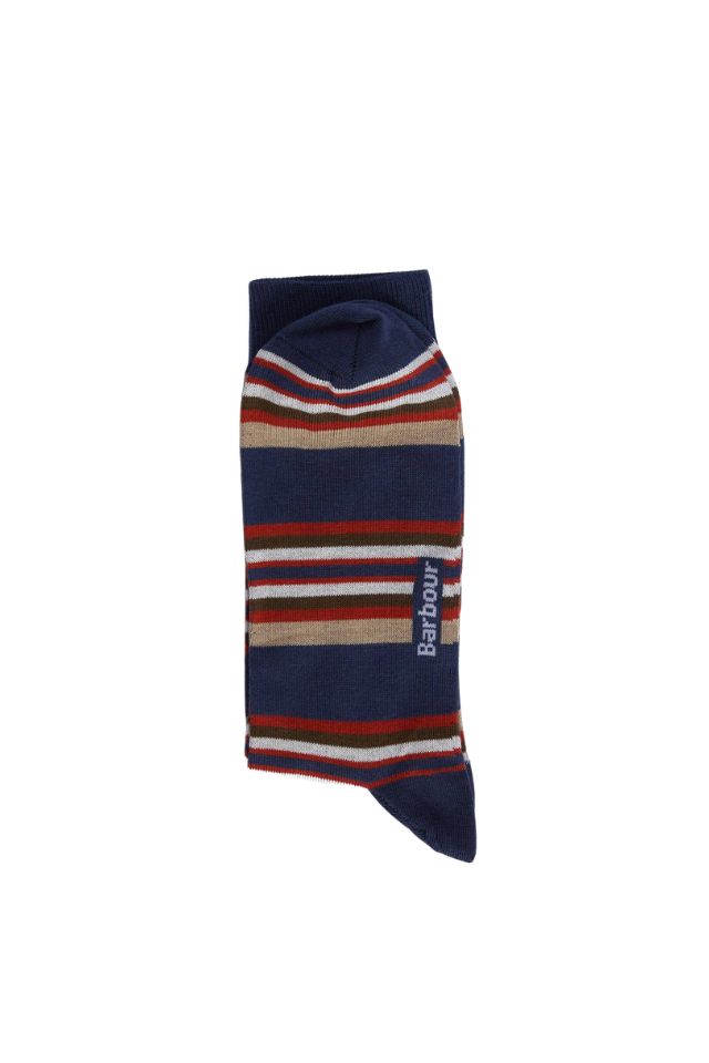 Summer Stripe 2 Pack Socks - Multi Stripe Navy/Green
