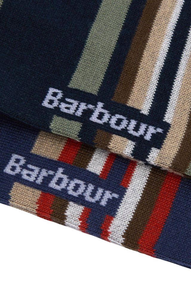 Summer Stripe 2 Pack Socks - Multi Stripe Navy/Green