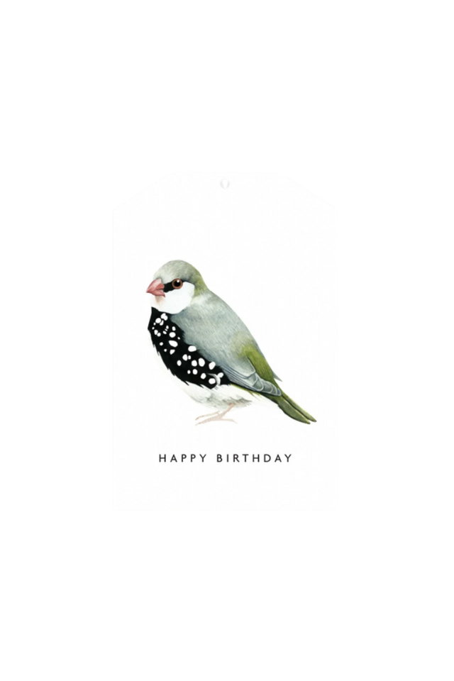 Happy Birthday Bird