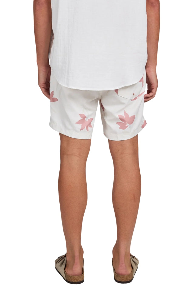 Marty Boardy - Dusty Cedar