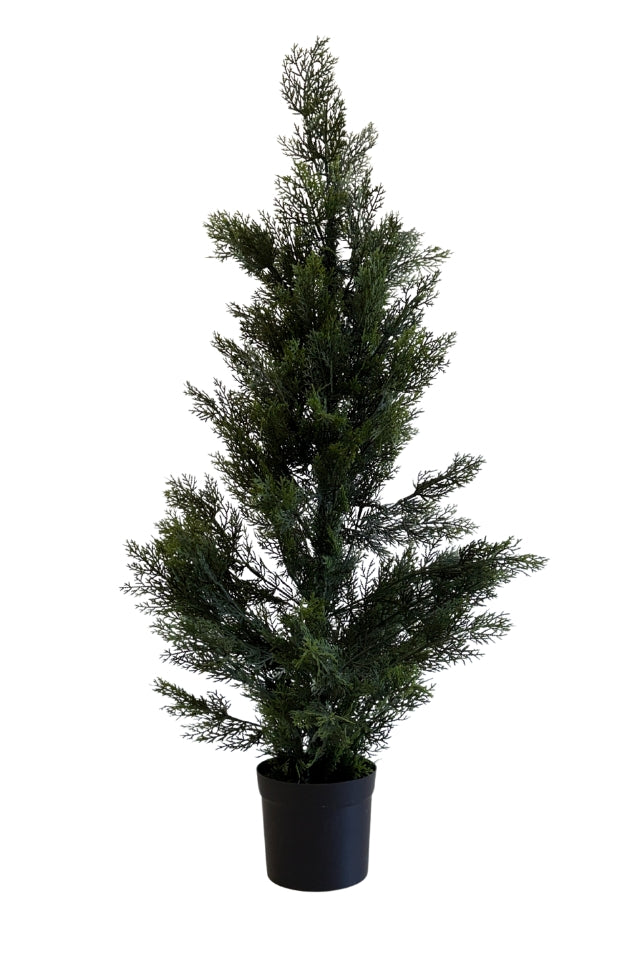 Cedar 1.2m Topiary
