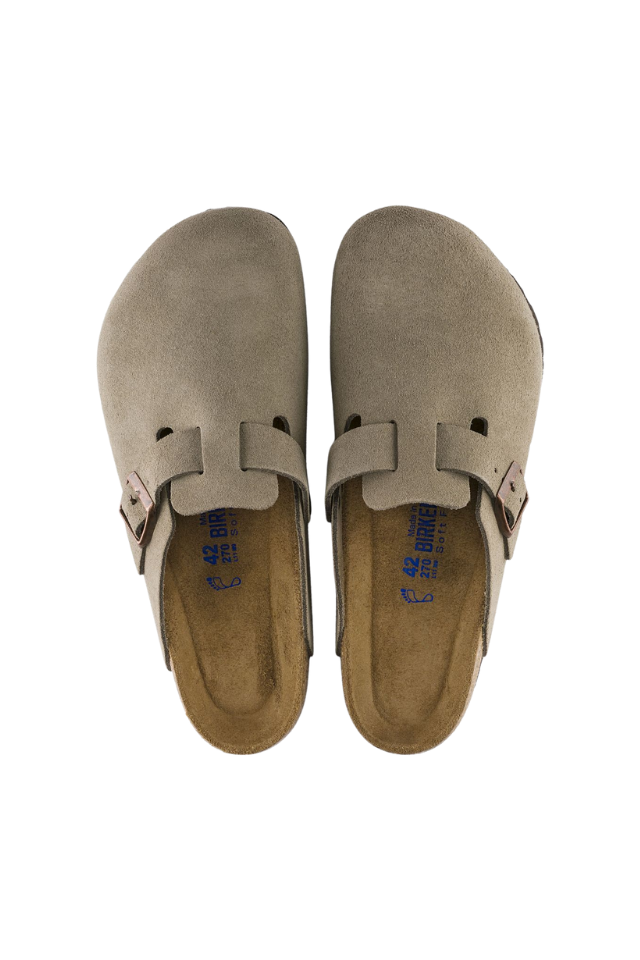 Boston Suede Regular