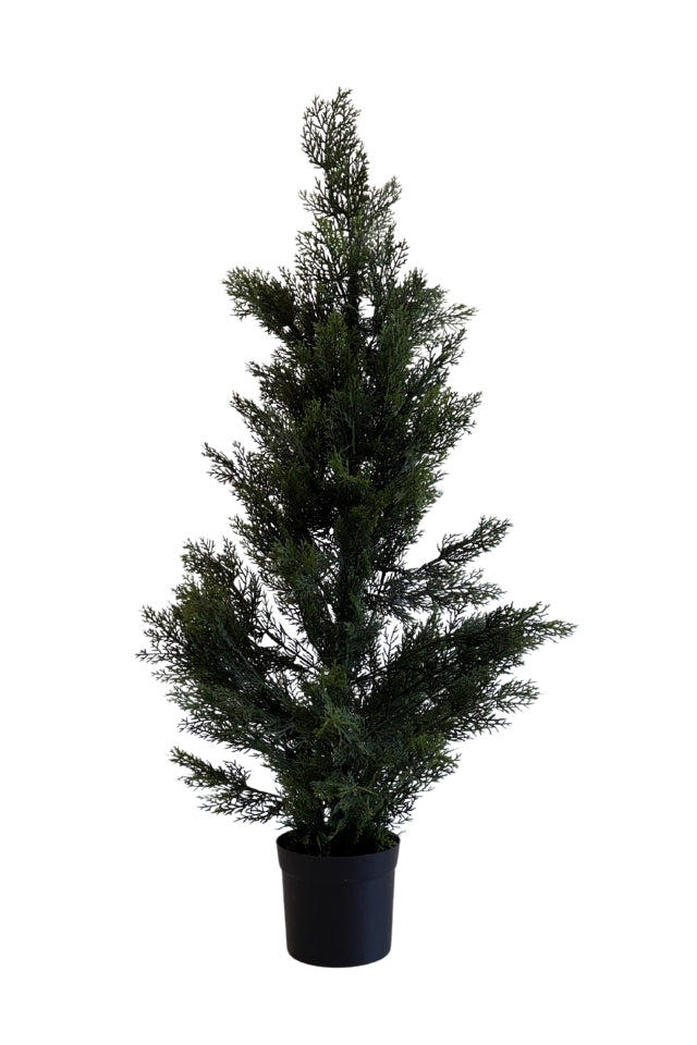 Cedar 1.2m Topiary