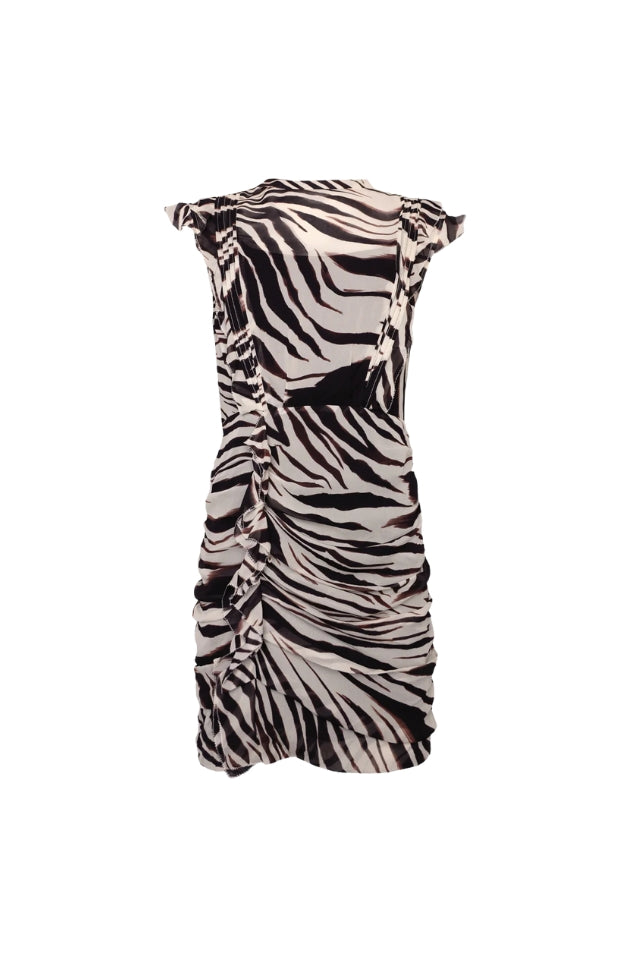 Wild Night Print Dress - Zebra Print