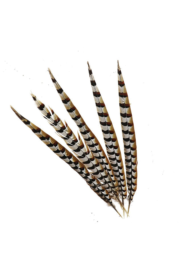 9988 Hawthorne Large Pheasant Feathers 85-90cm