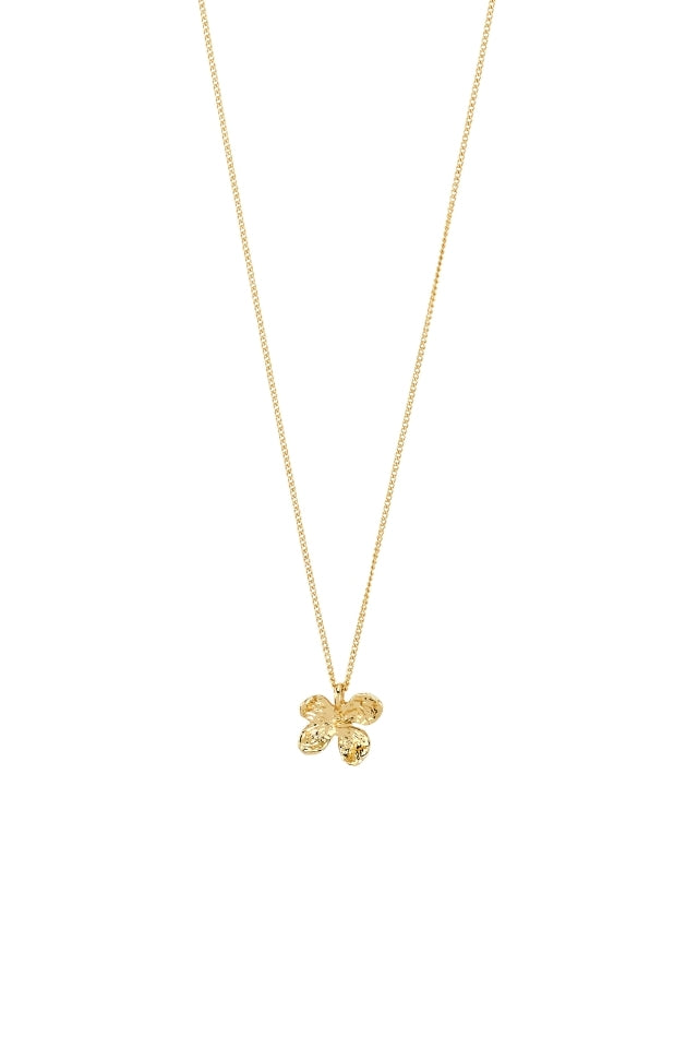 Ajani Necklace - Gold Plated