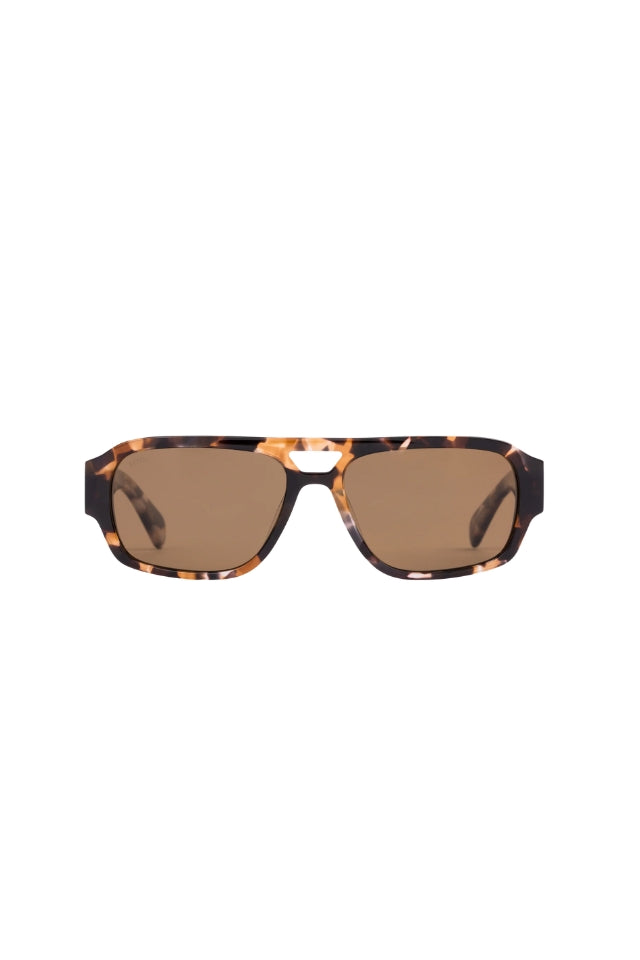 Atlas: Pebble Tort/Brown Polarised