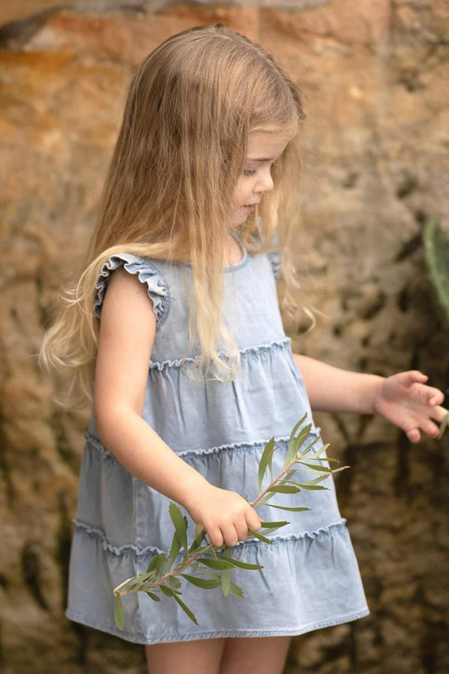 Baby Dress Tiered Indiana