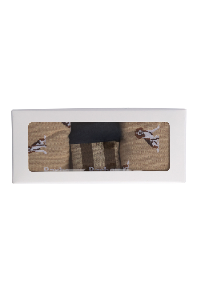 Beagle Dog Sock Set - Washed Stone