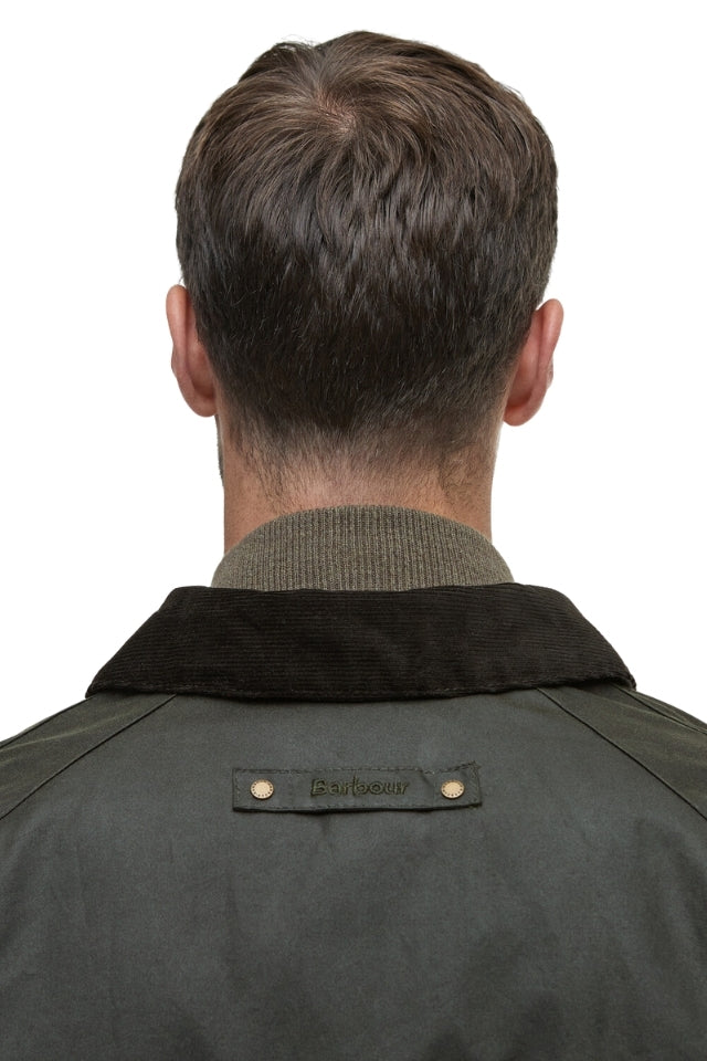 Short Lorden Wax Mac - Olive