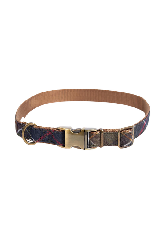 Tartan/Webbing Dog Collar - Classic Tartan