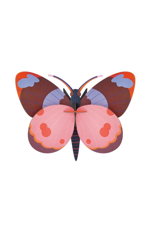 Wall Art Butterflies - Bellissima Butterfly